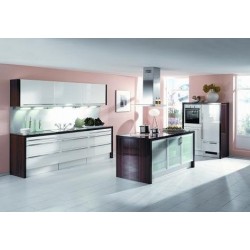 (13) Hoogglans Lak Keuken